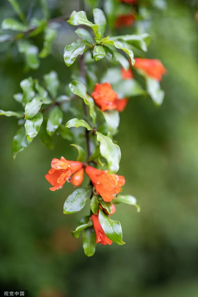 平博·pinnacle(中国集团)官方网站