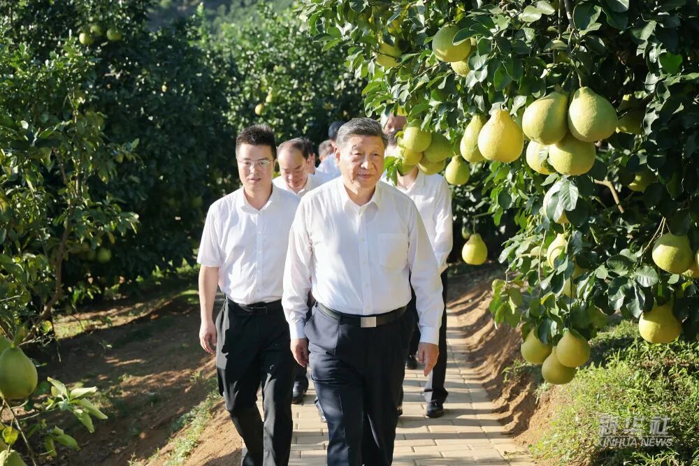 平博·pinnacle(中国集团)官方网站